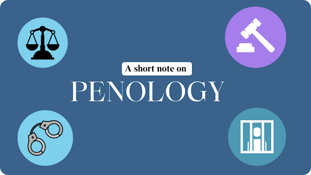 Penology and Young Offenders