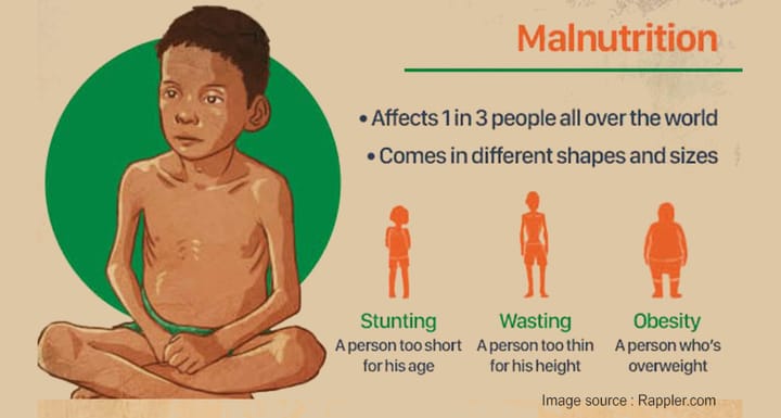Malnutrition and the Writ of Continuing Mandamus: The Remedy Befitting the Right